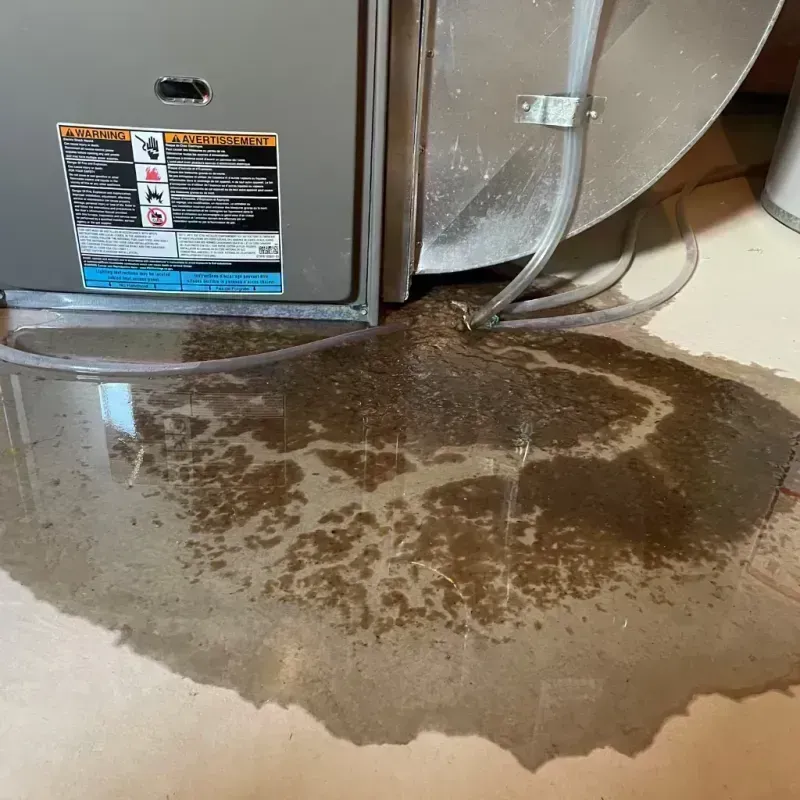 Appliance Leak Cleanup in Grantsville, WV